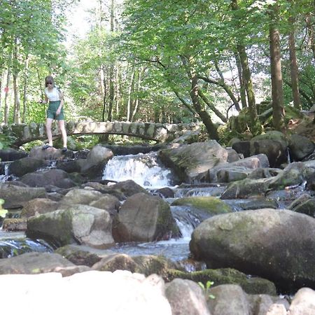 Chalet Des Rochires Gerardmer Ngoại thất bức ảnh