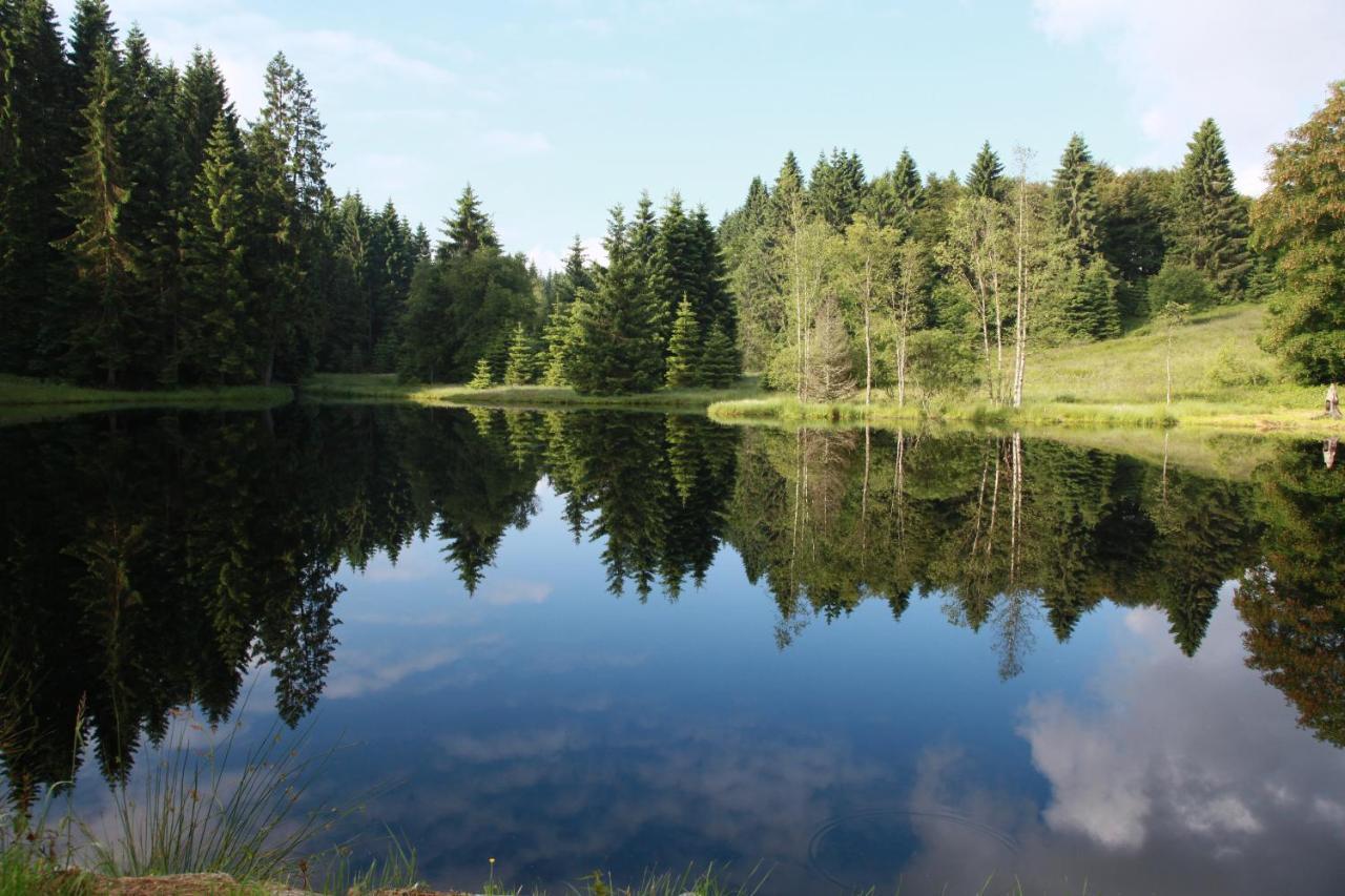 Chalet Des Rochires Gerardmer Ngoại thất bức ảnh