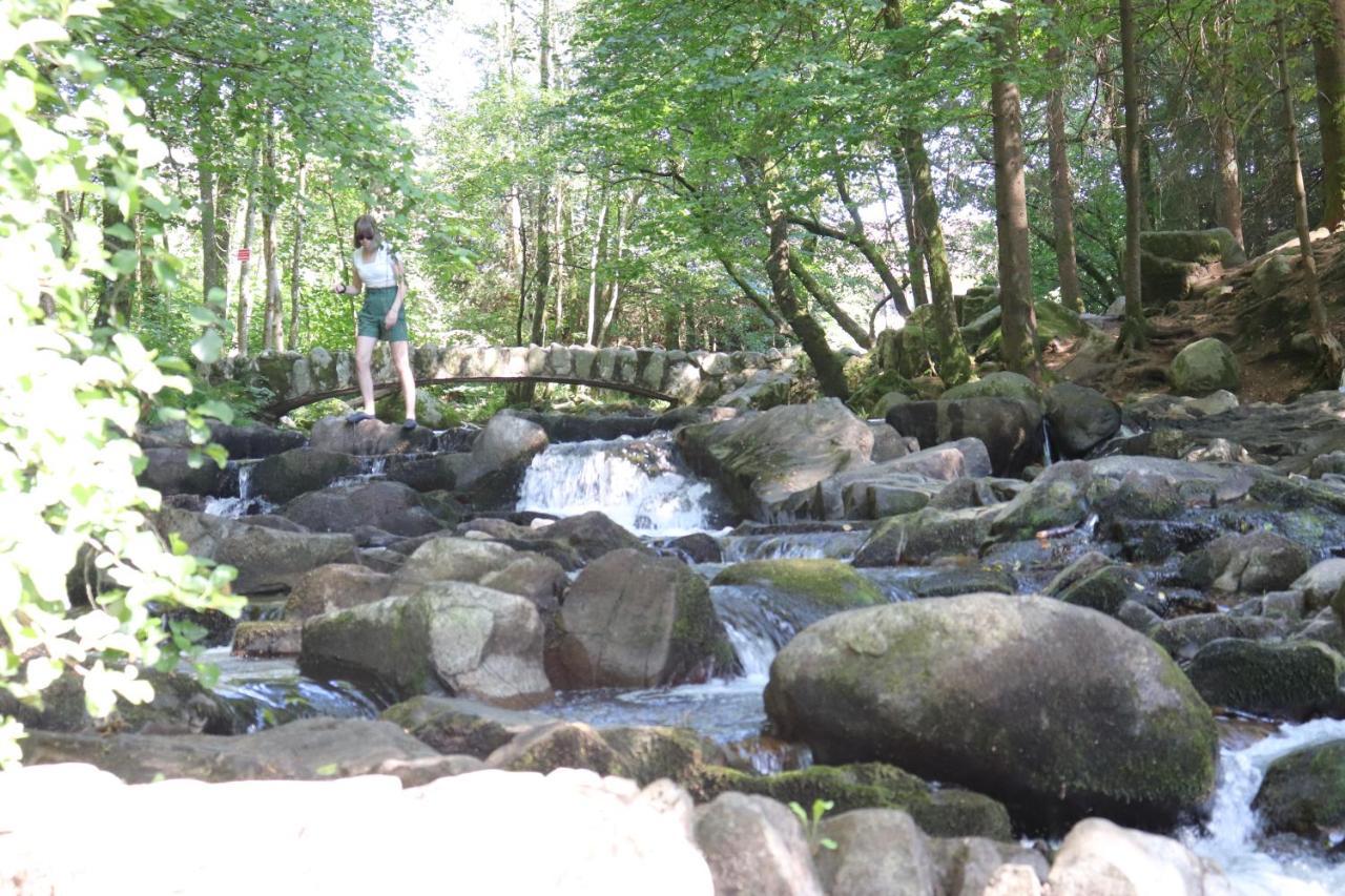 Chalet Des Rochires Gerardmer Ngoại thất bức ảnh